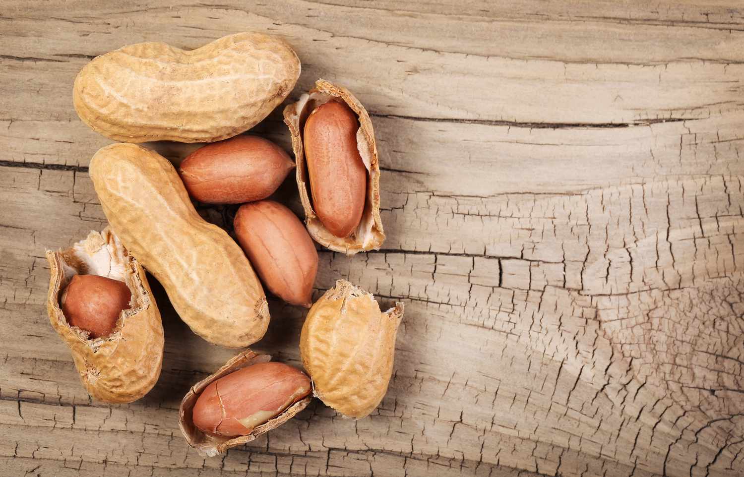 Stop Calling Peanuts a Protein Source, They’re Not Really